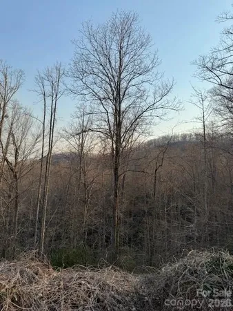 $25,000 | 910 Morgan Hill Road, Black Mountain, NC 28711