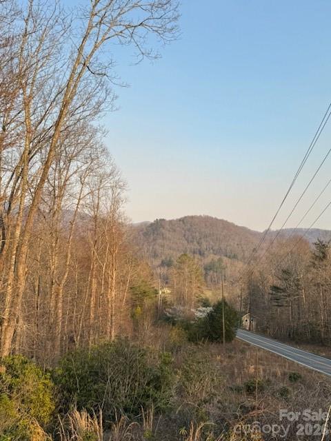 910 Morgan Hill Road Black Mountain, NC 28711 - Photo 2 of 4