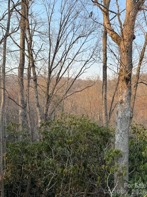 910 Morgan Hill Road Black Mountain, NC 28711 - Photo 3 of 4