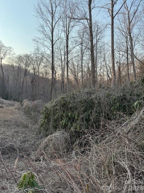 910 Morgan Hill Road Black Mountain, NC 28711 - Photo 4 of 4