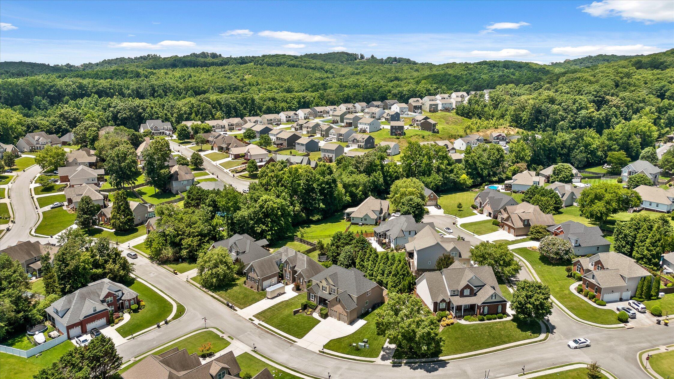 9875 Fieldcrest Drive Apison, TN 37302 - Photo 63 of 67 Aerial