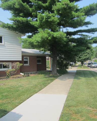 8120 Gross Point Road Morton Grove, IL 60053 - Photo 5 of 25