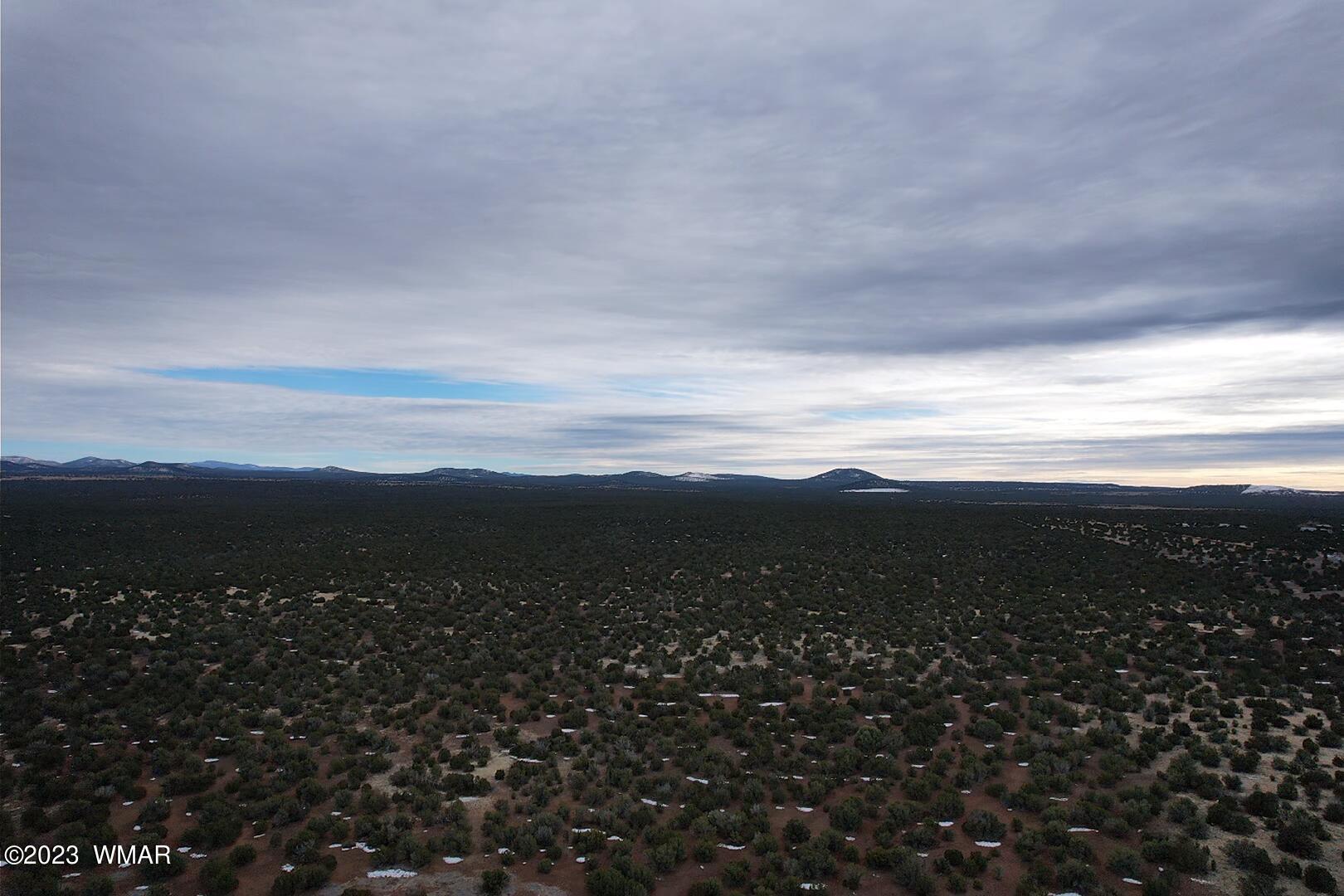 10.69 Acres Show Low Az 85901 Show Low, AZ 85901 - Photo 11 of 14