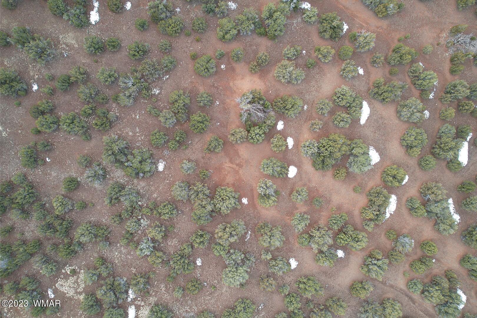 10.69 Acres Show Low Az 85901 Show Low, AZ 85901 - Photo 13 of 14
