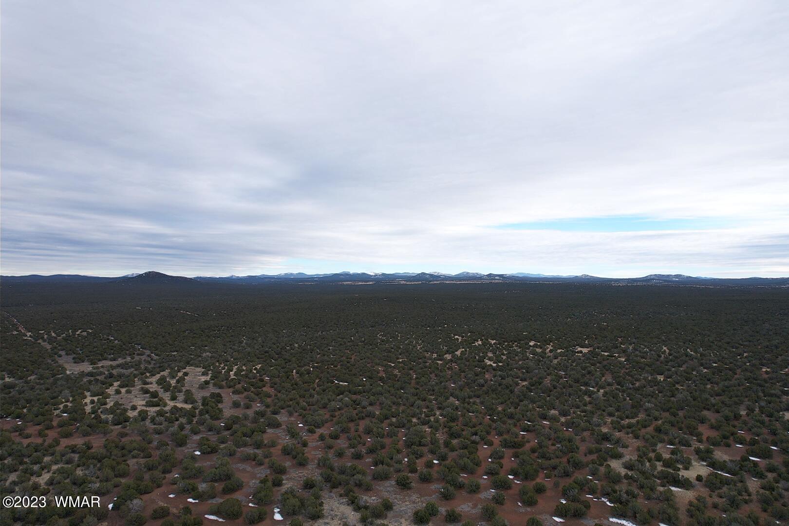10.69 Acres Show Low Az 85901 Show Low, AZ 85901 - Photo 14 of 14