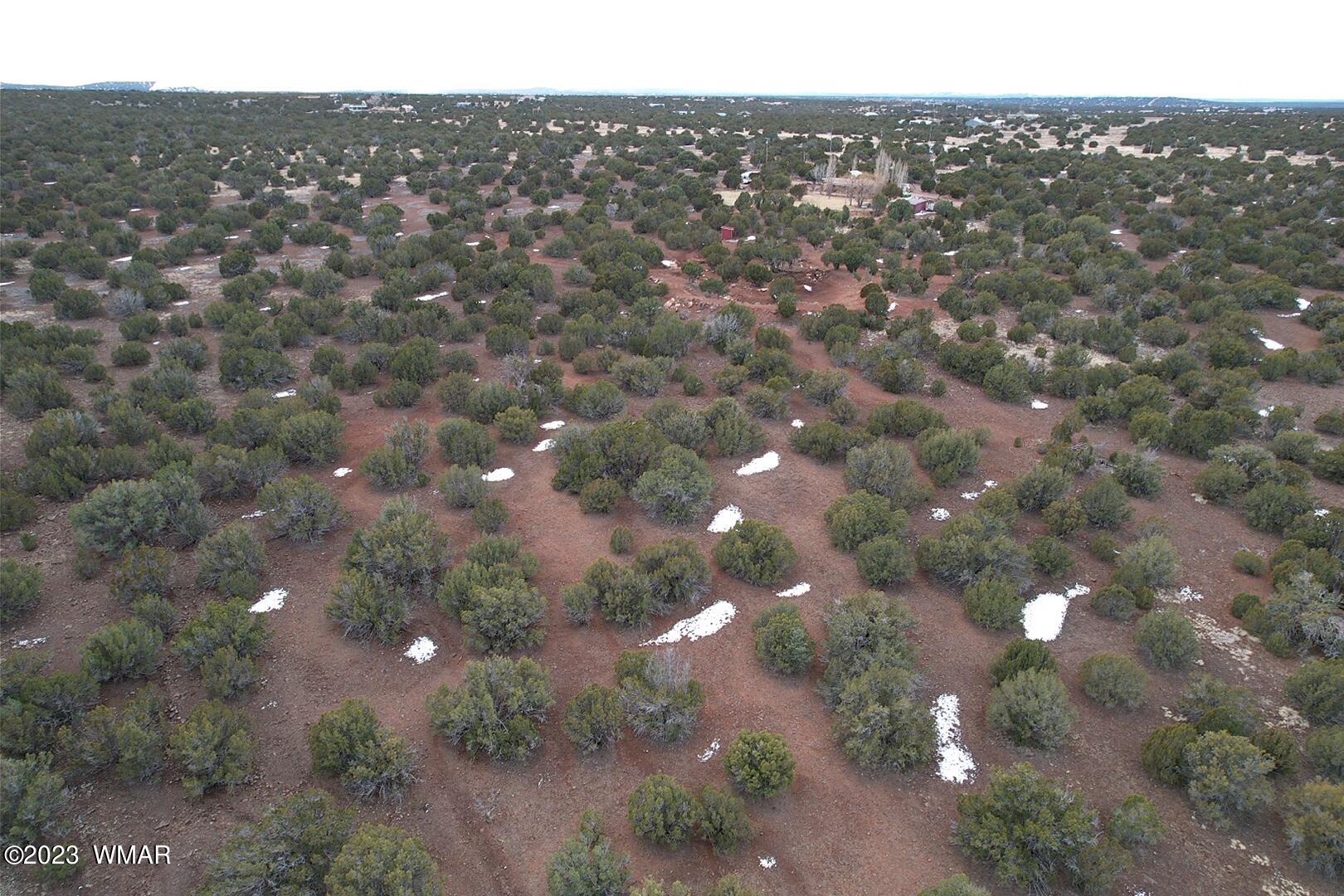 10.69 Acres Show Low Az 85901 Show Low, AZ 85901 - Photo 2 of 14