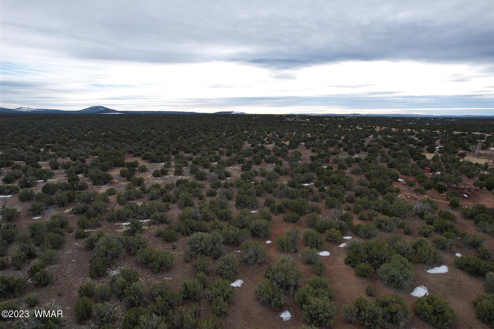 10.69 Acres Show Low Az 85901 Show Low, AZ 85901 - Photo 3 of 14