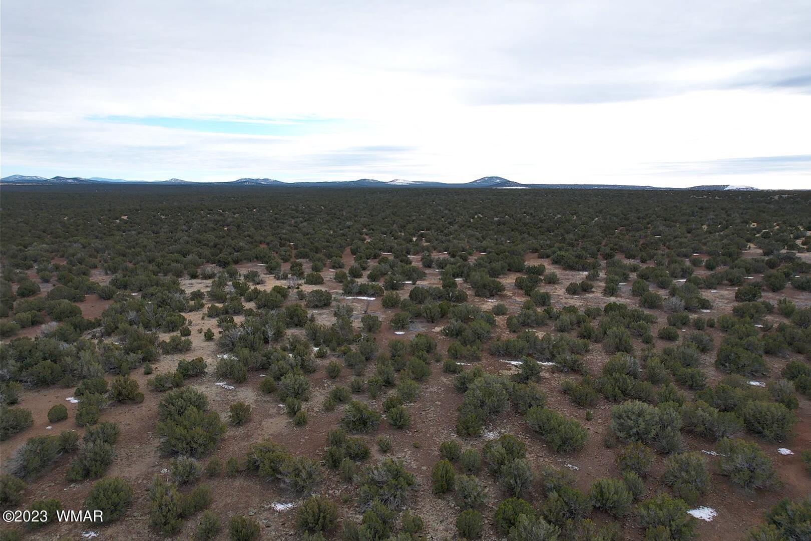 10.69 Acres Show Low Az 85901 Show Low, AZ 85901 - Photo 5 of 14