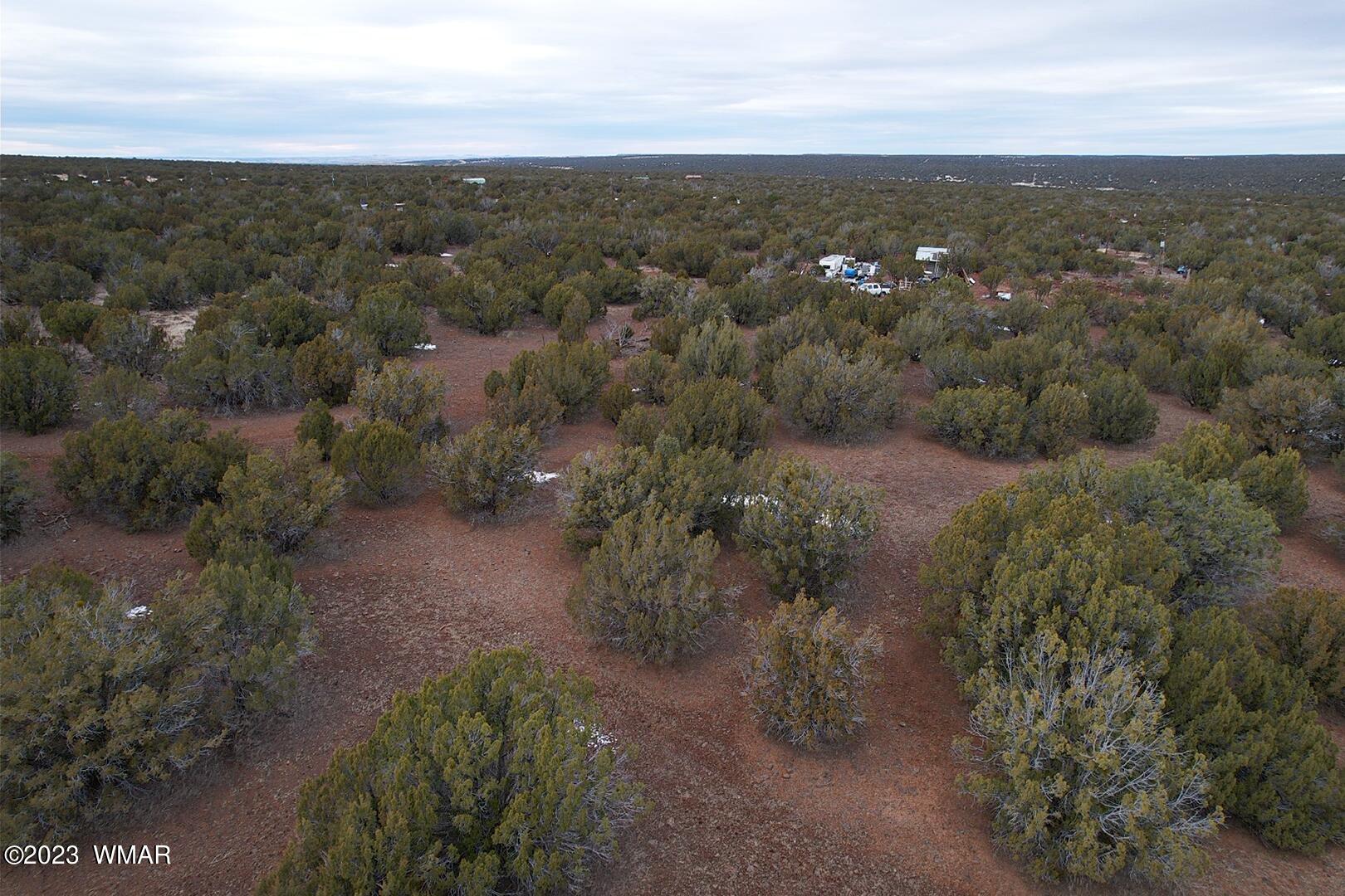 10.69 Acres Show Low Az 85901 Show Low, AZ 85901 - Photo 6 of 14