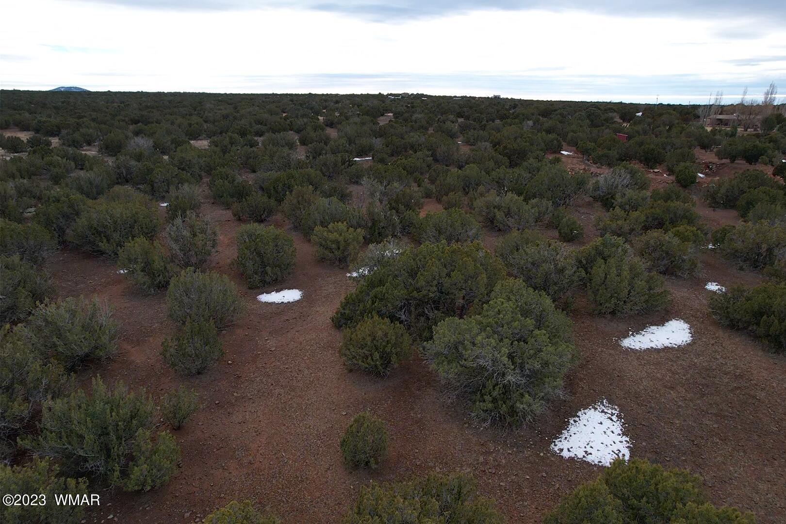 10.69 Acres Show Low Az 85901 Show Low, AZ 85901 - Photo 7 of 14