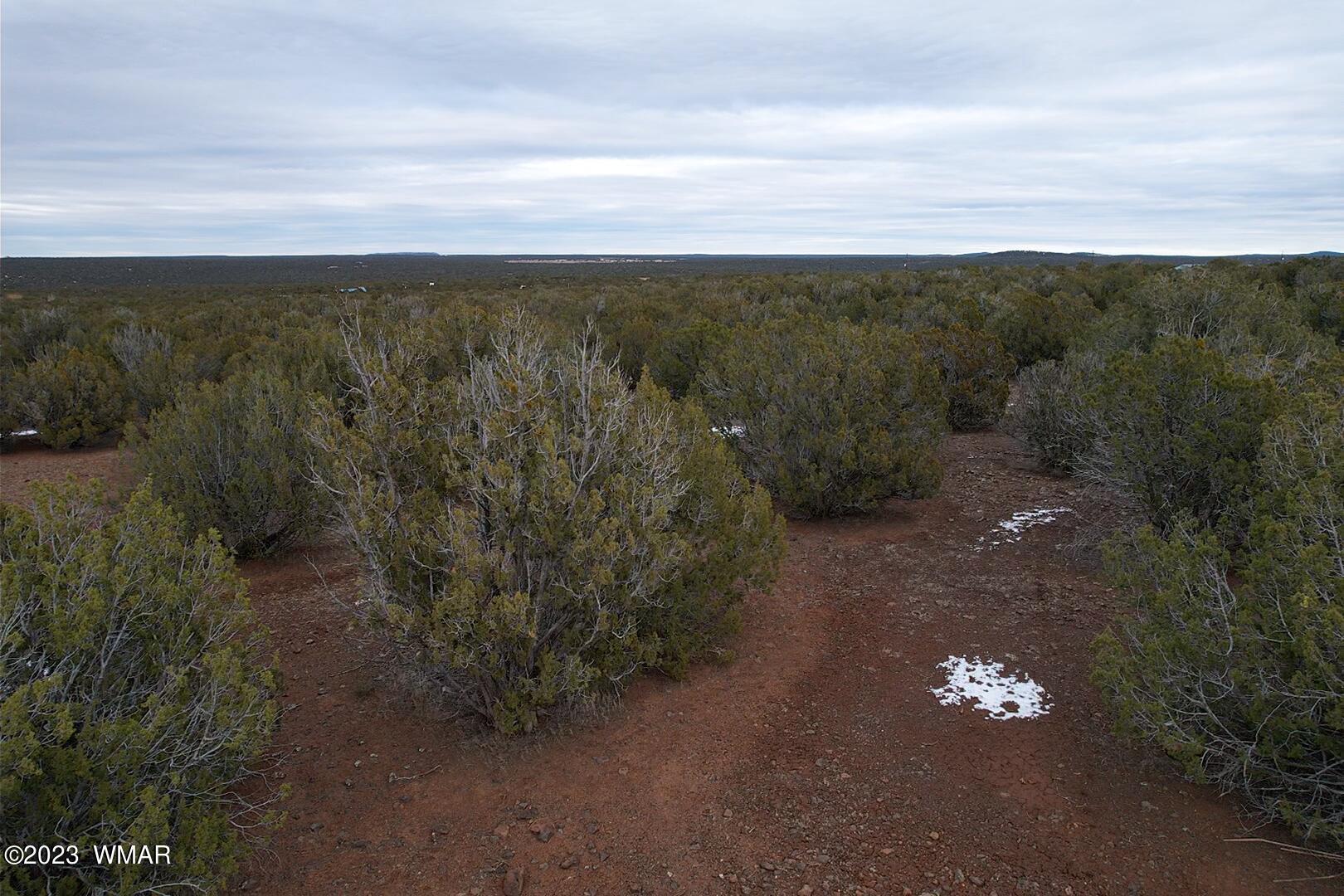 10.69 Acres Show Low Az 85901 Show Low, AZ 85901 - Photo 8 of 14