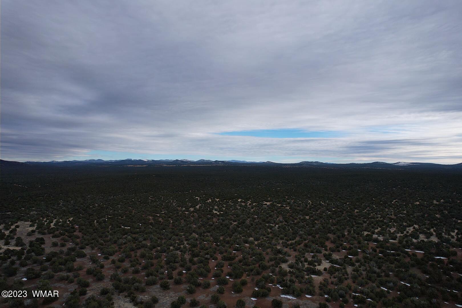 10.69 Acres Show Low Az 85901 Show Low, AZ 85901 - Photo 10 of 14