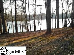 1889 Lake Cunningham Road Greer, SC 29651 - Photo 5 of 6