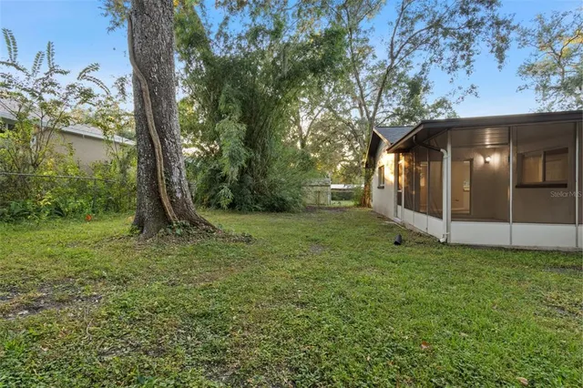 a view of a tree in a yard