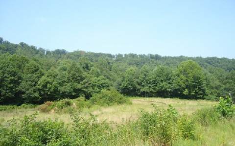 Lot 6 High Lane Road Morganton, GA 30560 - Photo 1 of 1 Main View
