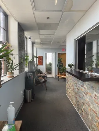 a living room with furniture and a potted plant