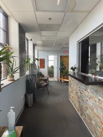 a living room with furniture and a potted plant