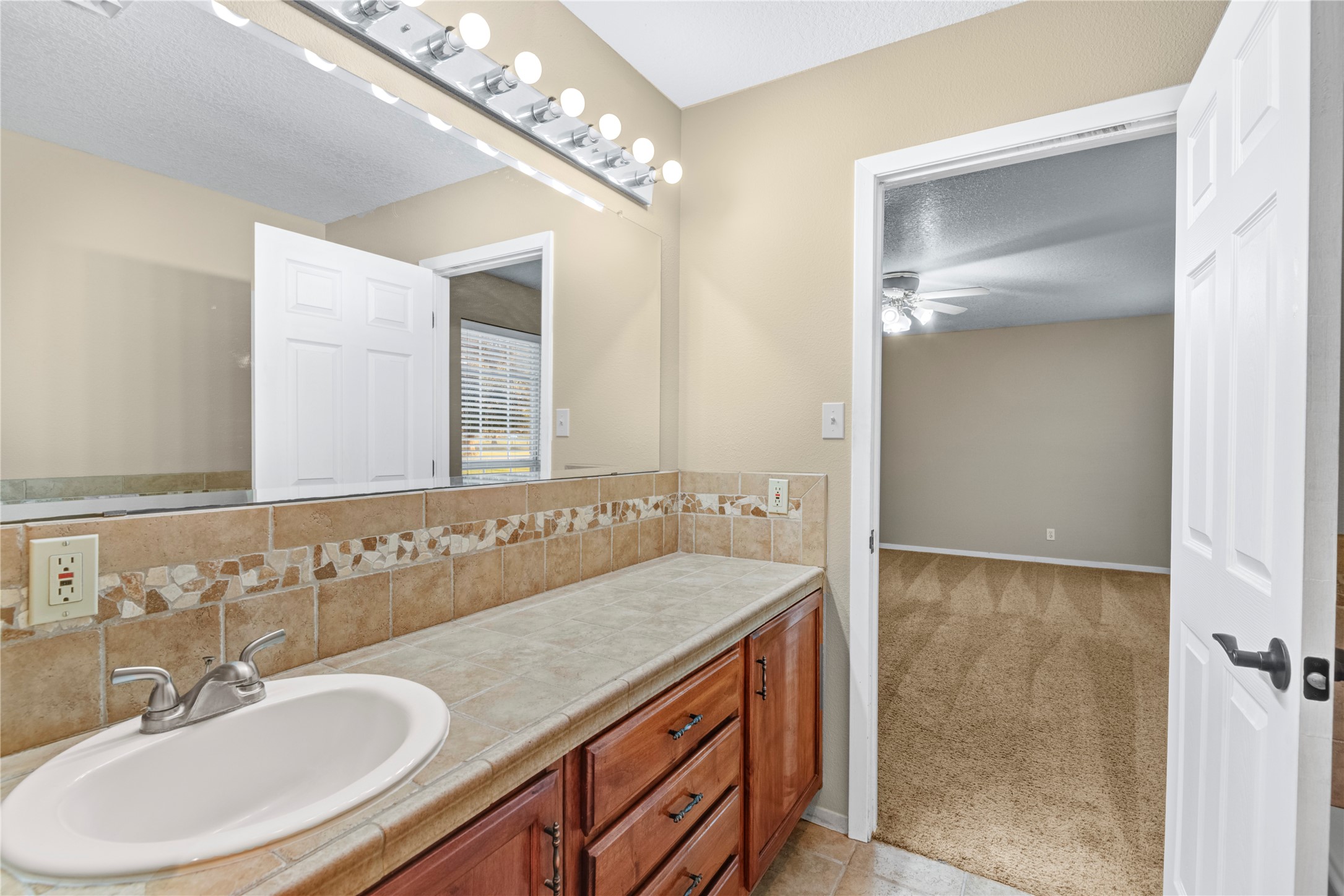 21503 Pecan Bend Road Damon, TX 77430 - Photo 26 of 39 a bathroom with a sink and a mirror