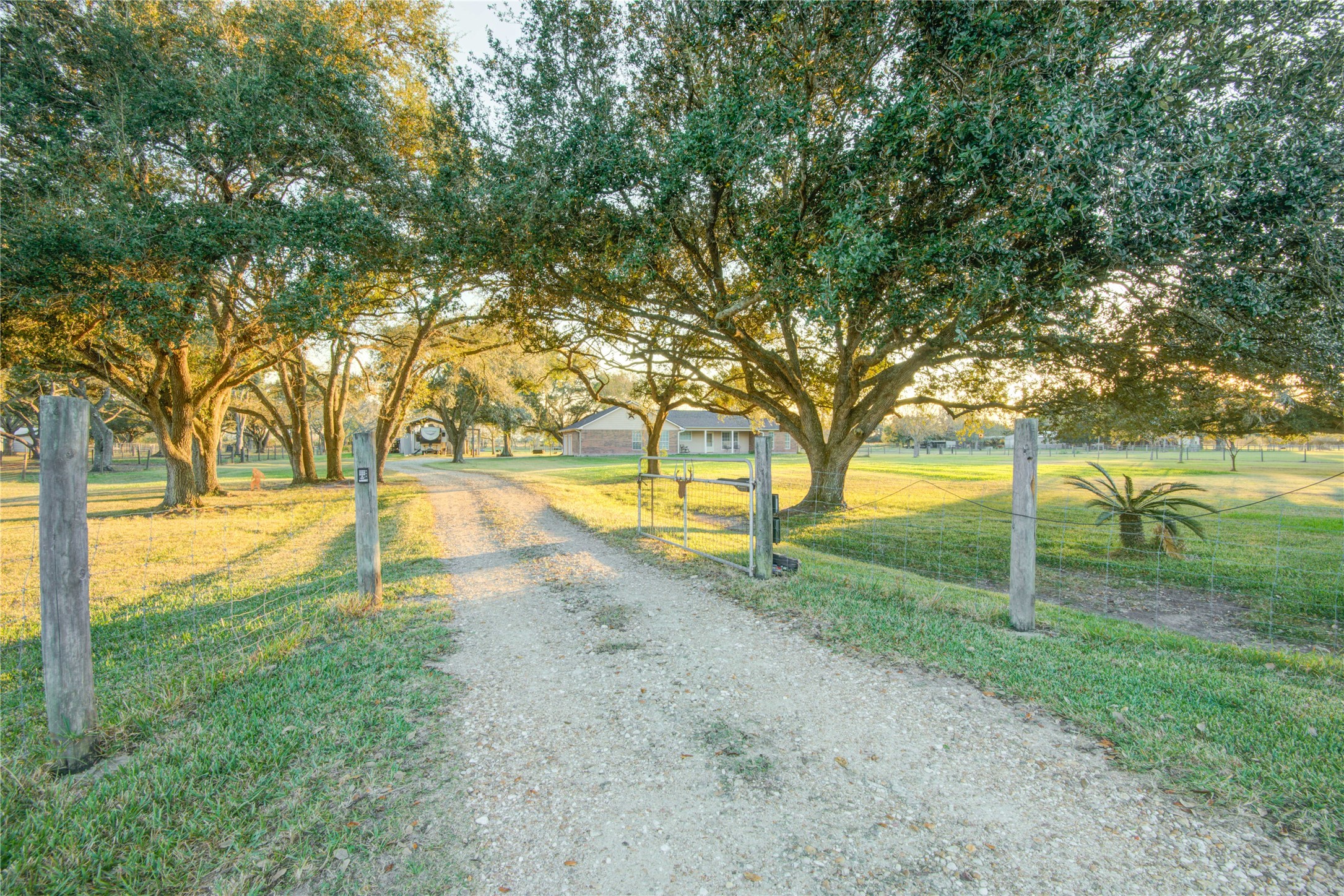 21503 Pecan Bend Road Damon, TX 77430 - Photo 7 of 39 a view of a yard with swimming pool