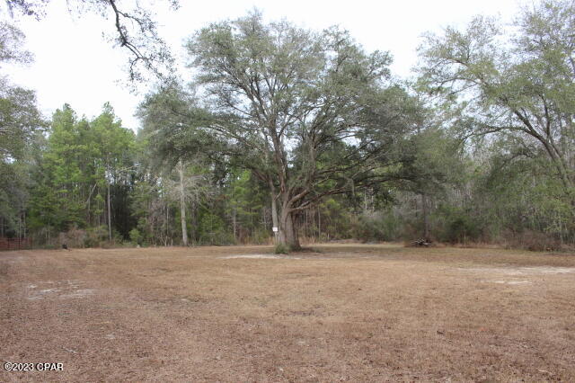 1957 Field Bay Road Caryville, FL 32427 - Photo 8 of 18 Gallery Image 8