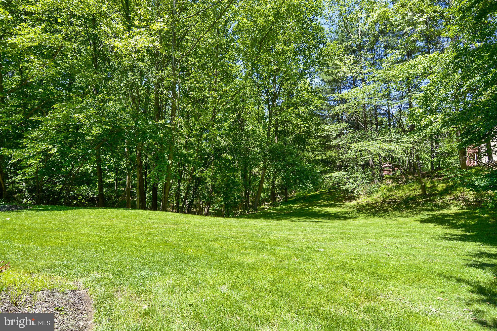 11100 Tara Road Potomac, MD 20854 - Photo 3 of 58 Spacious yard to play