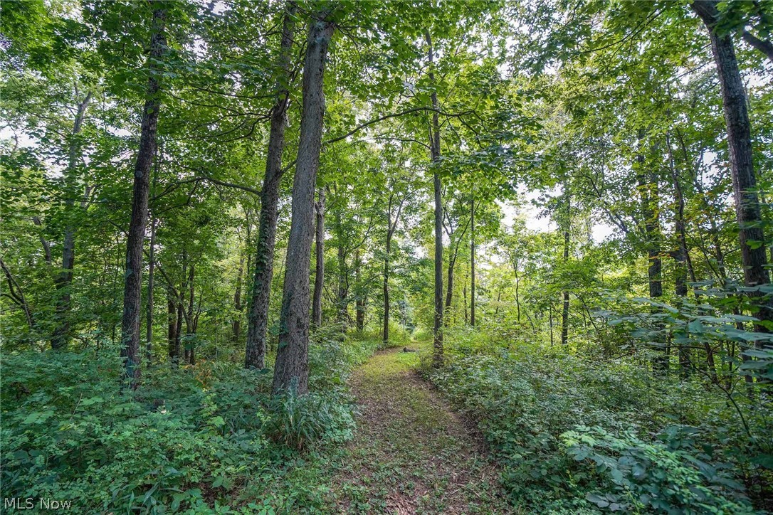 14975 Ruth Road Athens, OH 45701 - Photo 21 of 35