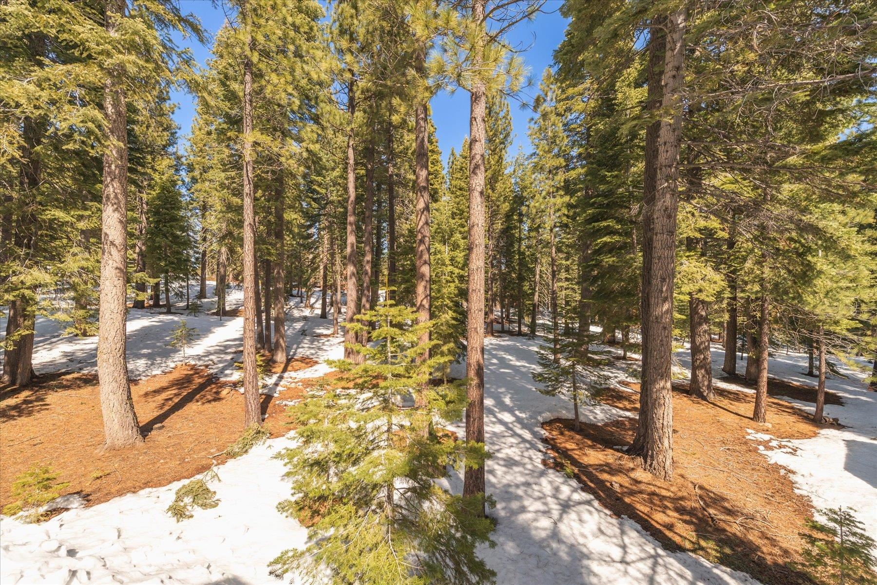 12313 Greenleaf Way Truckee, CA 96161 - Photo 21 of 26