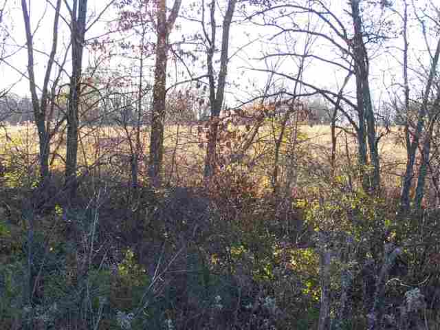 Tbd East Loran Road Mount Carroll, IL 61053 - Photo 2 of 7 Gallery Image 2