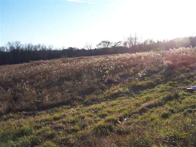 Tbd East Loran Road Mount Carroll, IL 61053 - Photo 5 of 7 Gallery Image 5