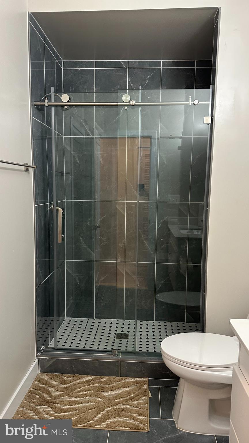 235 Valley Avenue Southeast Washington, DC 20032 - Photo 18 of 20 a bathroom with a toilet and a shower