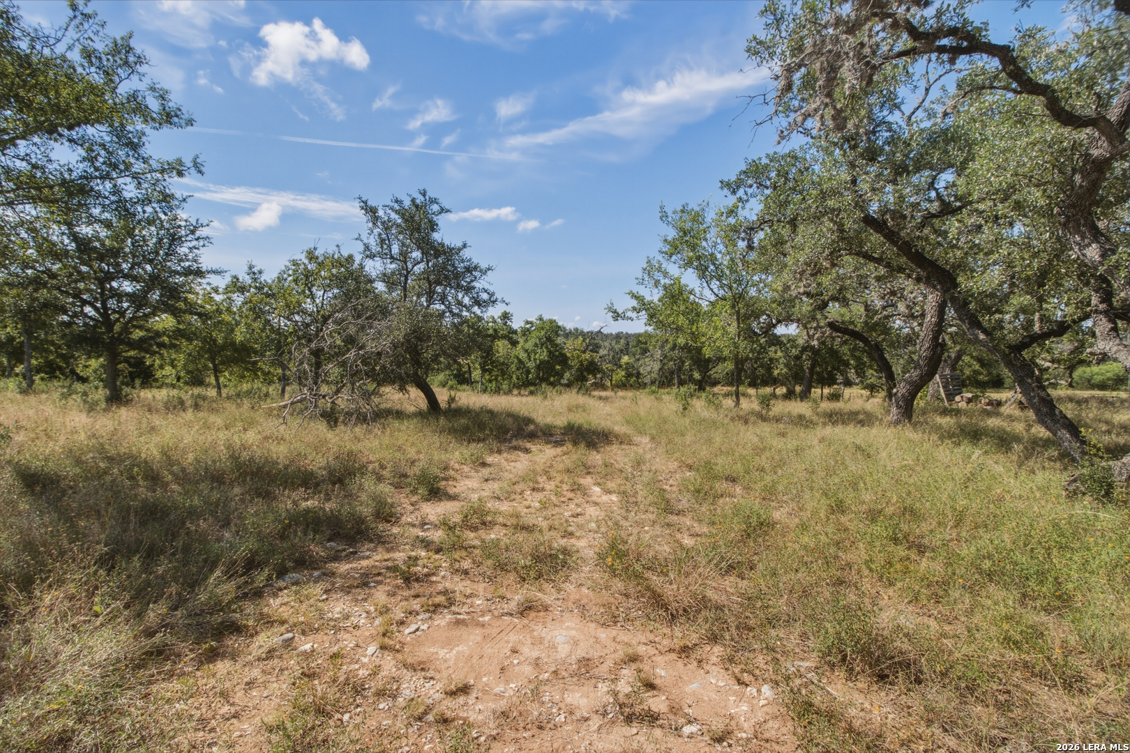 1256 Benton Creek Road Medina, TX 78055 - Photo 25 of 38