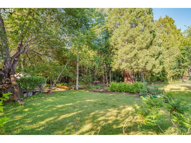 a view of a field of grass and trees