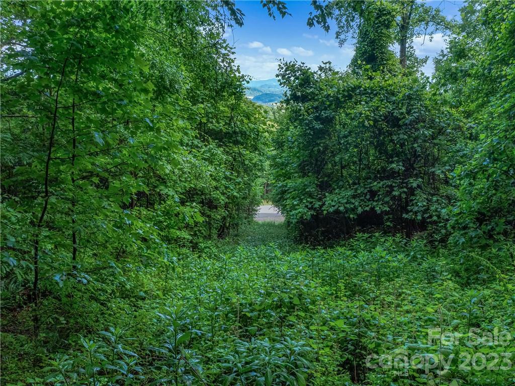 156 View Ridge Parkway, Unit 90 Leicester, NC 28748 - Photo 5 of 12 Gallery Image 5
