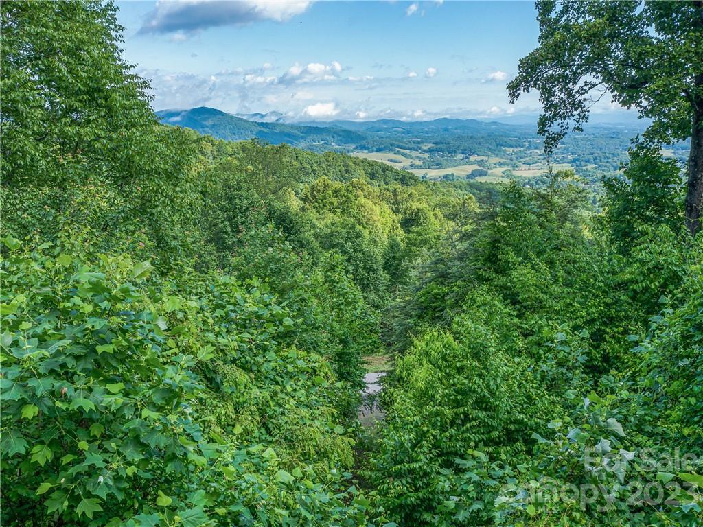 156 View Ridge Parkway, Unit 90 Leicester, NC 28748 - Photo 7 of 12 Gallery Image 7