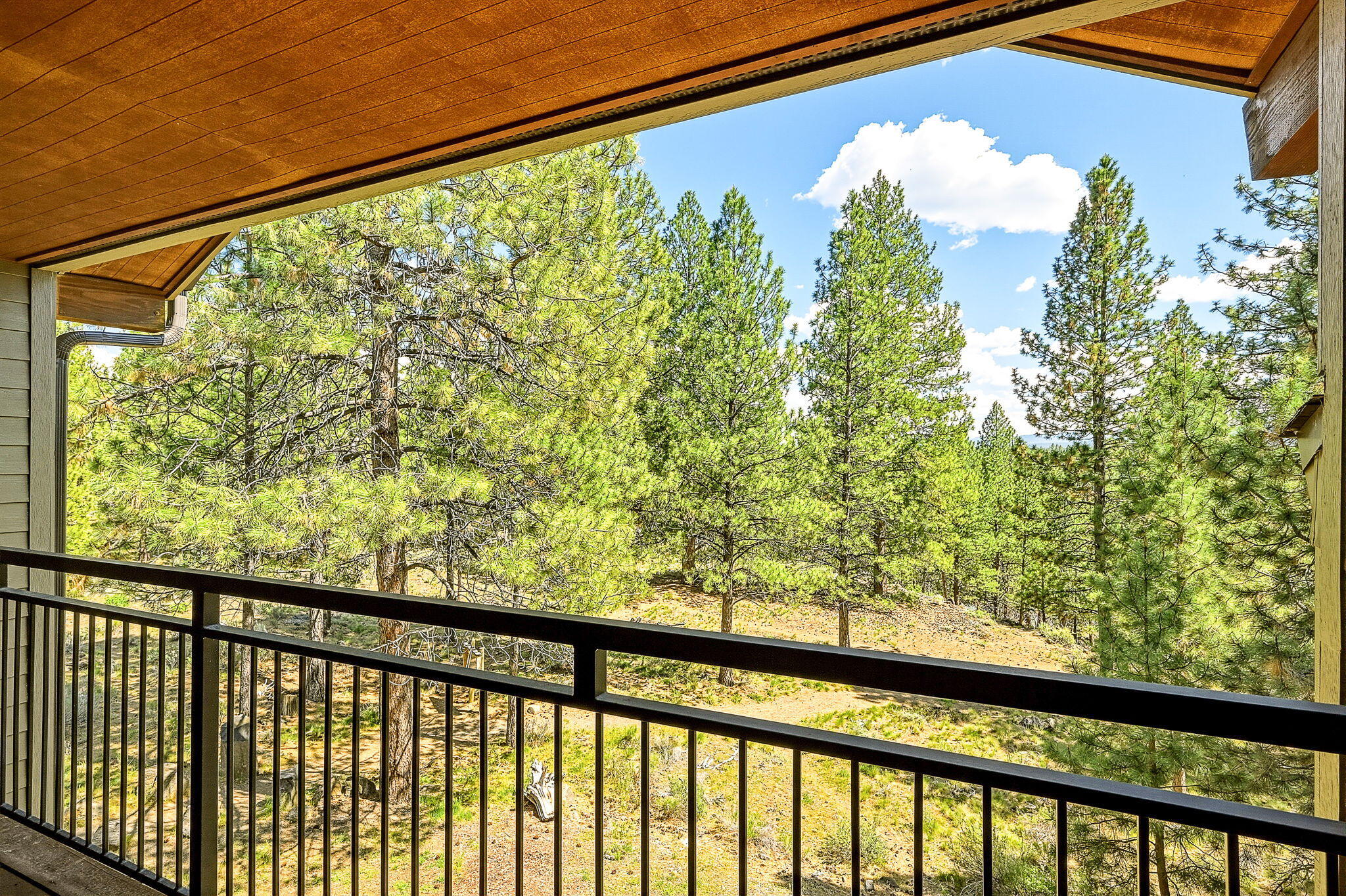 18575 Southwest Century Drive, Unit 232 Bend, OR 97702 - Photo 17 of 37 a view of trees and outside from a balcony