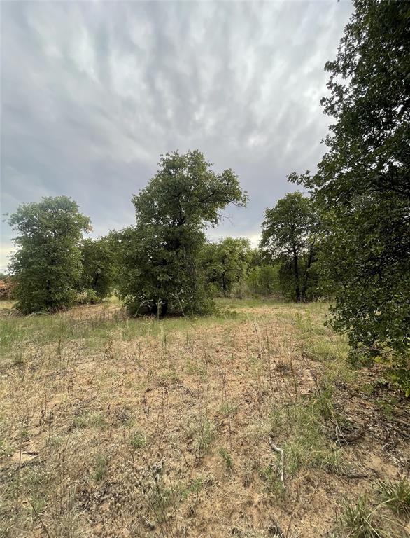 Lot 23 Private Road Hawley, TX 79525 - Photo 23 of 24