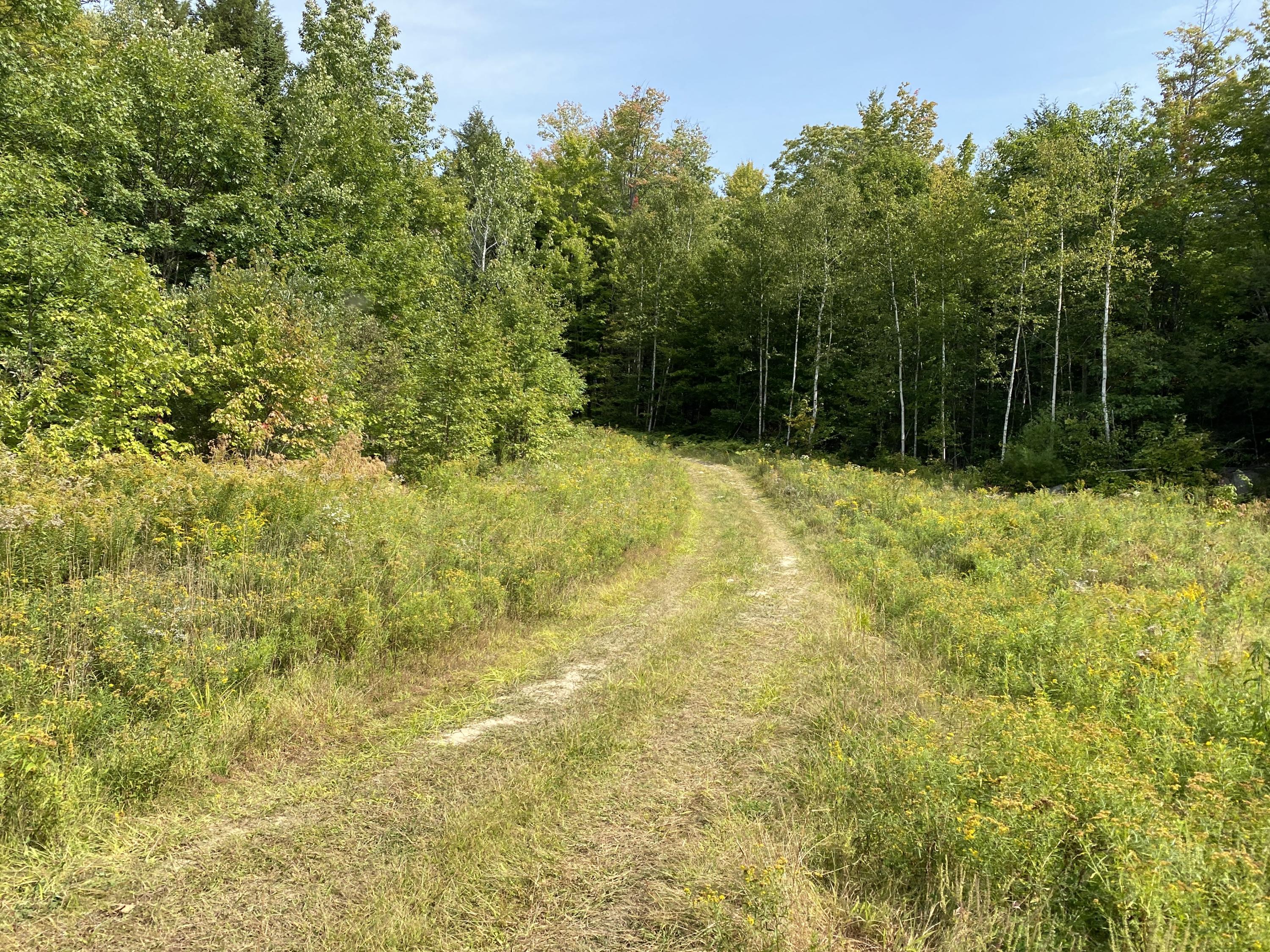 6-082 Lomie Rivers Road Jay, ME 04239 - Photo 24 of 43 Photo Sep 16, 12 35 35 PM