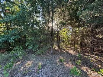 $89,000 | 7 Appaloosa Trail, Monroe City, MO 63456