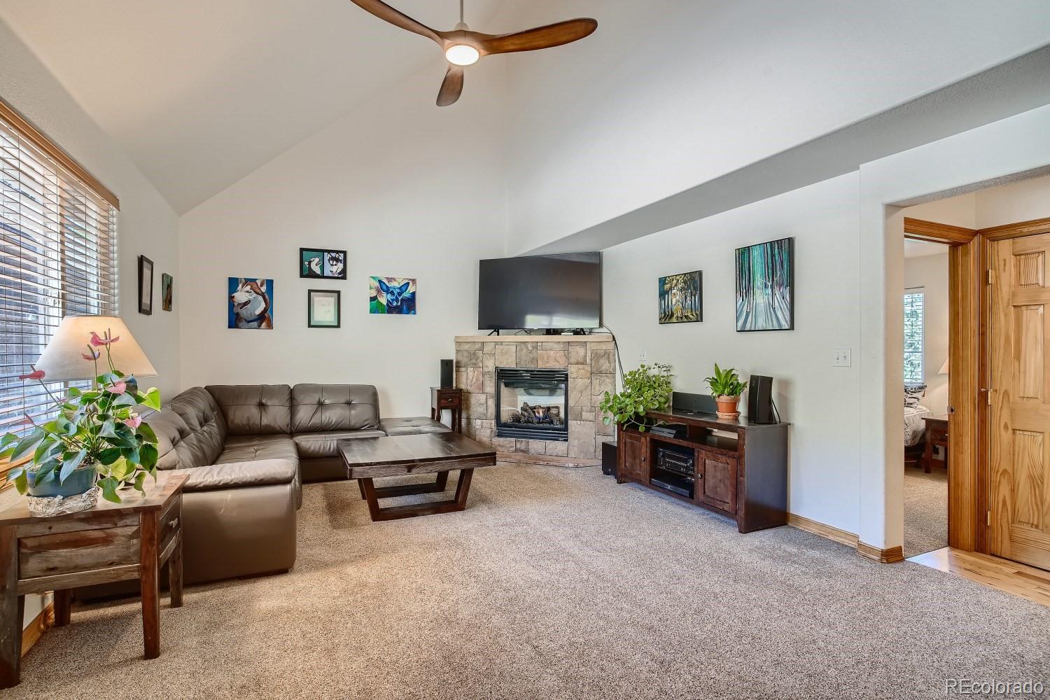 731 Hitchrack Road Bailey, CO 80421 - Photo 1 of 22 a living room with furniture a flat screen tv and a fireplace