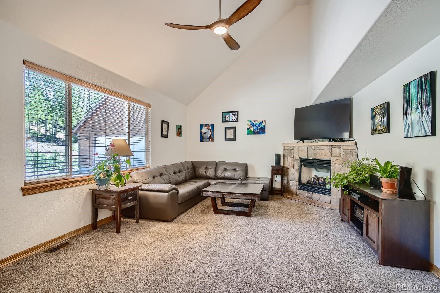 731 Hitchrack Road Bailey, CO 80421 - Photo 2 of 22 a living room with furniture a flat screen tv and a fireplace