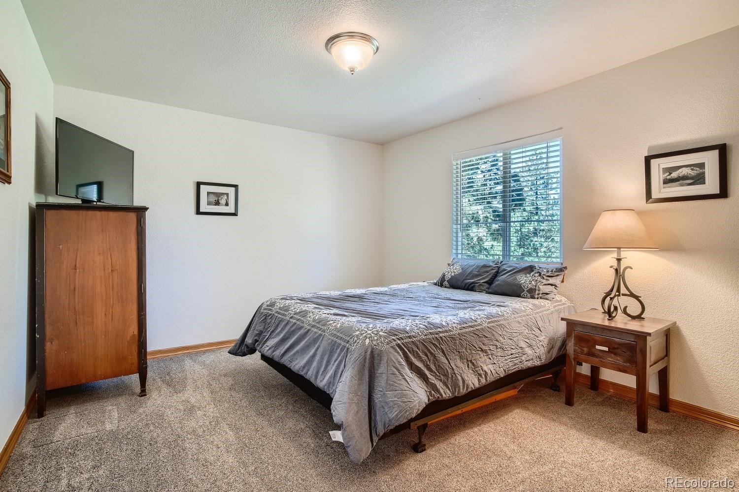 731 Hitchrack Road Bailey, CO 80421 - Photo 8 of 22 a bedroom with a bed and a tv