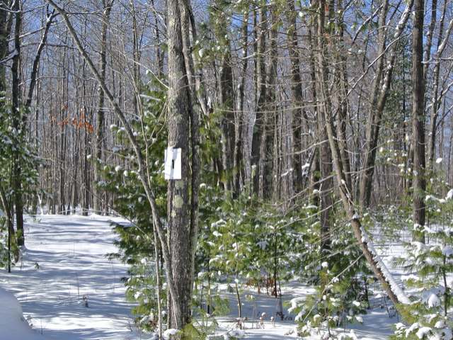 Lot 1 Sutton Road Minocqua, WI 54548 - Photo 1 of 8 Gallery Image 1