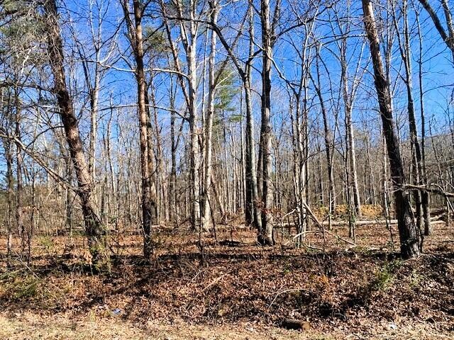 4 Boyd Road Benton, TN 37307 - Photo 1 of 7