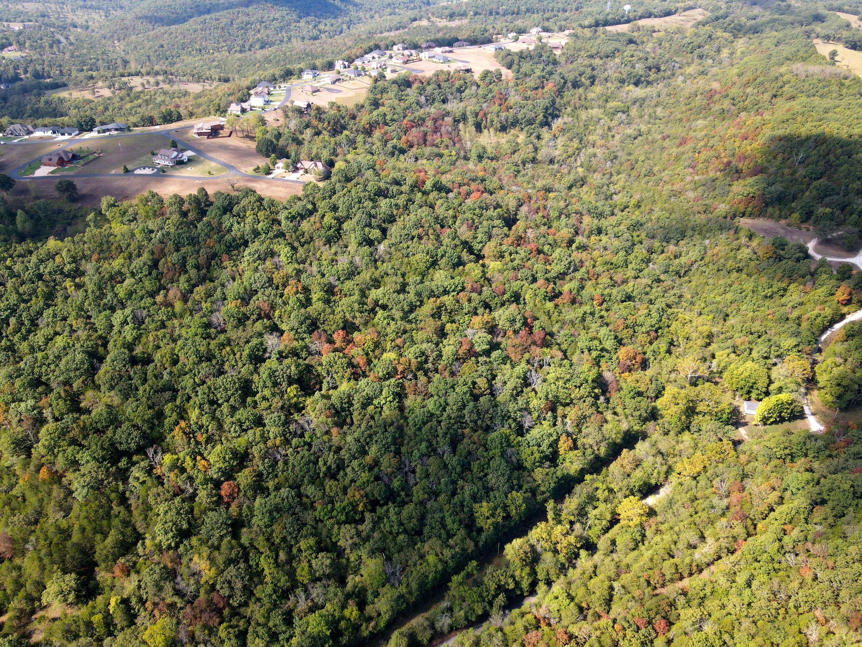 0 Dry Hollow Road Chestnutridge, MO 65630 - Photo 39 of 44 dji_fly_20250925_111712_745_175900981226