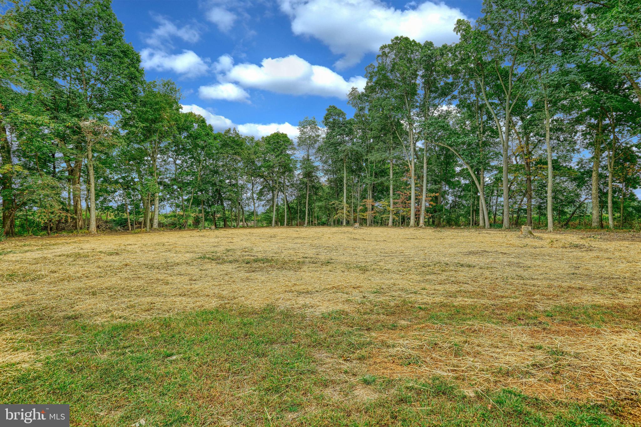 2349 Myers Road Spring Grove, PA 17362 - Photo 49 of 60