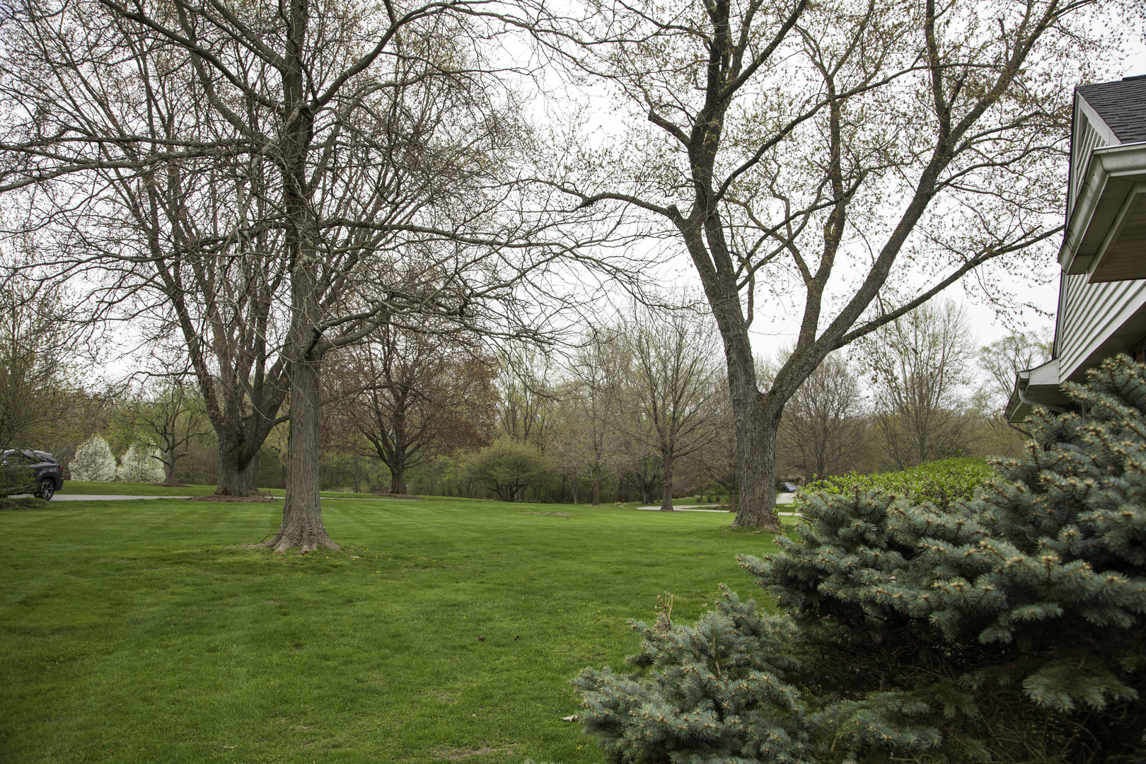 1630 Dunbar Road Inverness, IL 60067 - Photo 5 of 8 a view of a park with large trees