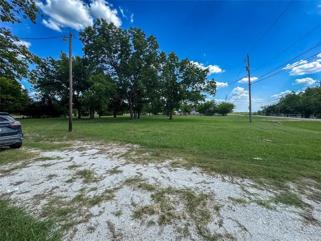 a view of a park with large trees