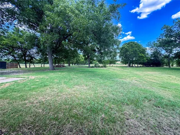 a view of a trees in a park