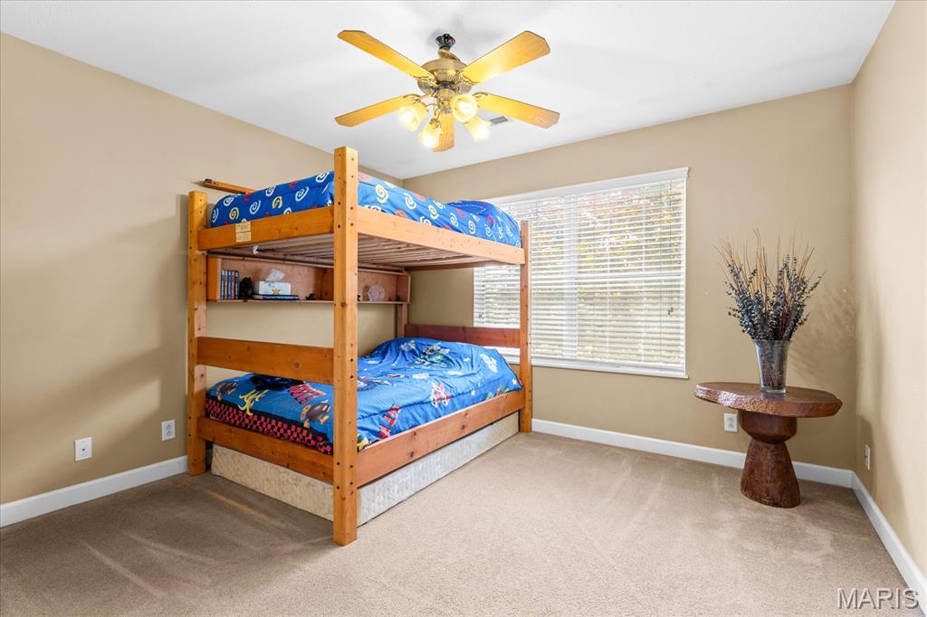 400 Grand Orchid Road O'Fallon, IL 62269 - Photo 28 of 46
