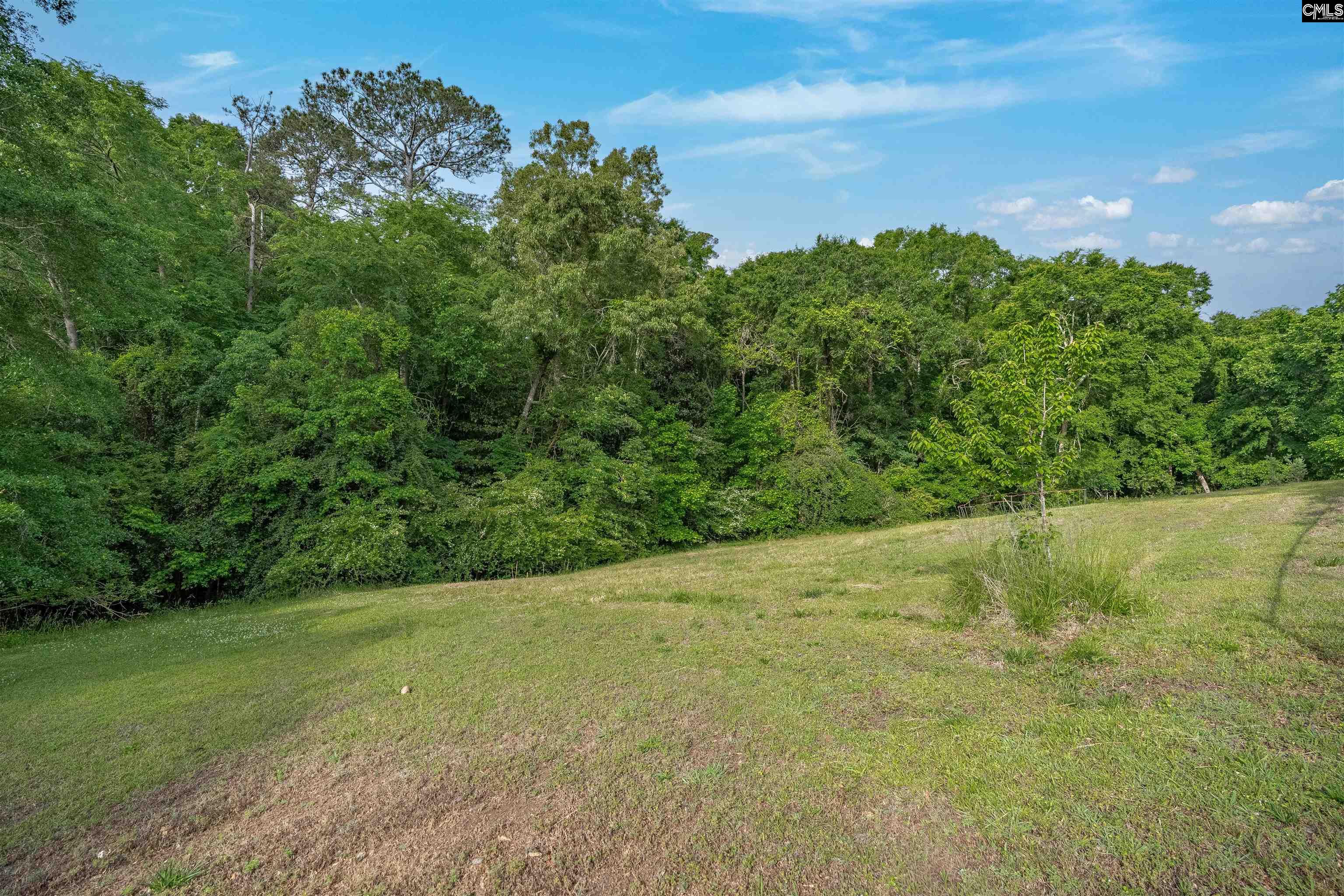 220 Nance Street Whitmire, SC 29178 - Photo 40 of 44
